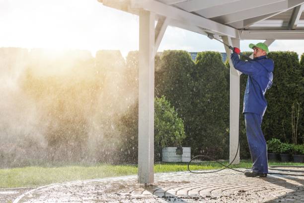 Best Roof Washing  in Crimora, VA